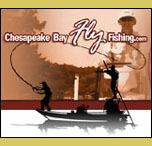 Cheseapeake Bay Fly Fishing